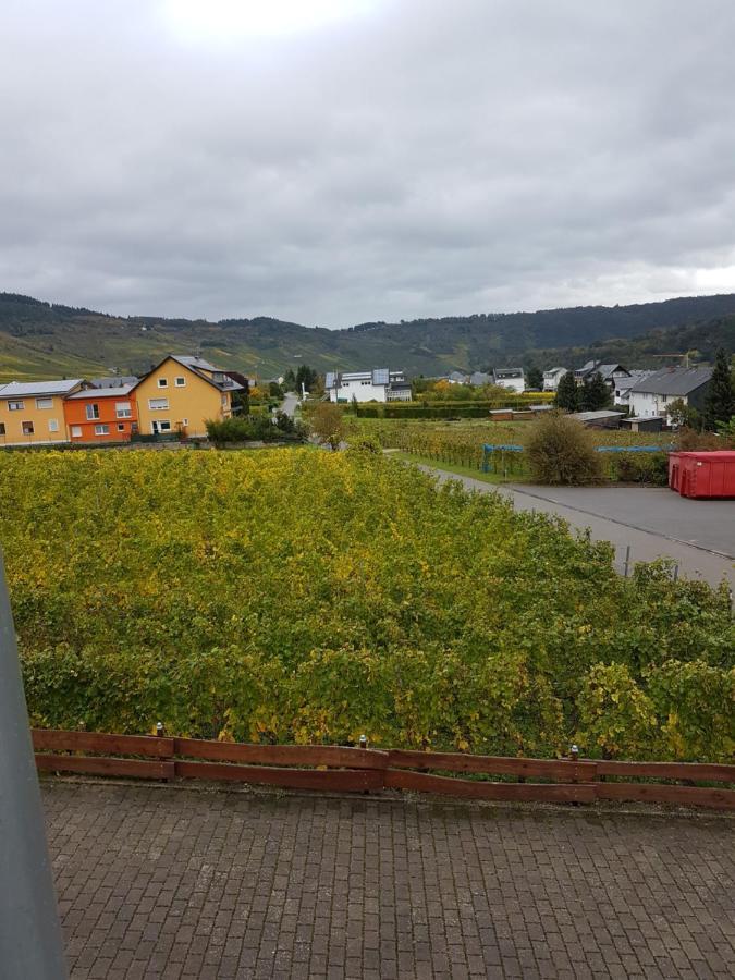 Ferienweingut Römer-Knodt Kröv Exterior foto